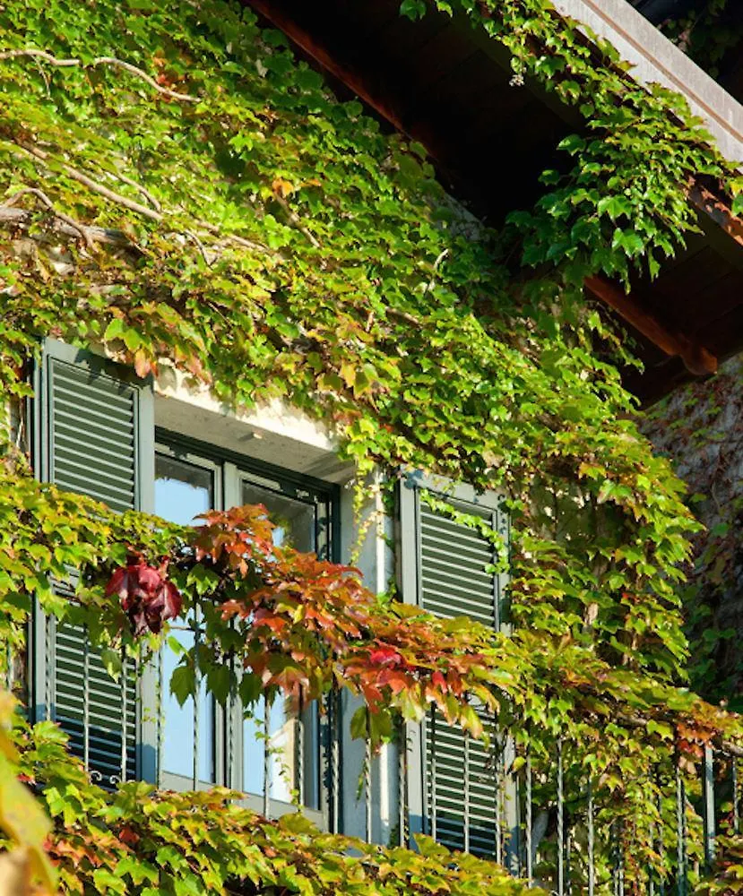 Pescallo Apartments Bellagio